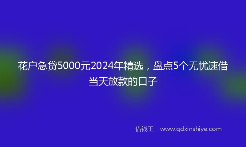 花户急贷5000元2024年精选，盘点5个无忧速借当天放款的口子