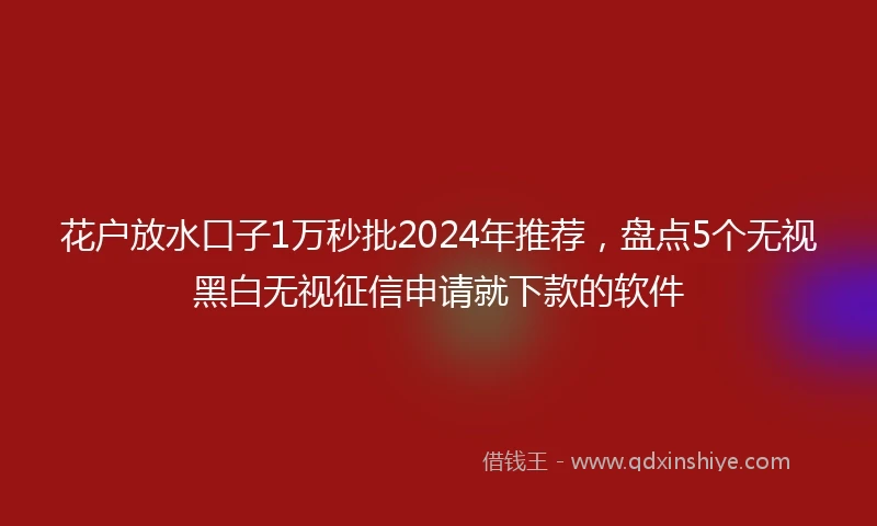 花户放水口子1万秒批2024年推荐，盘点5个无视黑白无视征信申请就下款的软件