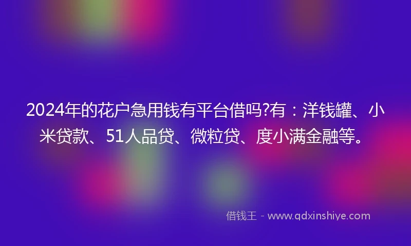 2024年的花户急用钱有平台借吗?有：洋钱罐、小米贷款、51人品贷、微粒贷、度小满金融等。