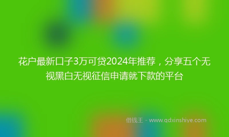 花户最新口子3万可贷2024年推荐，分享五个无视黑白无视征信申请就下款的平台