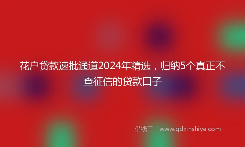 花户贷款速批通道2024年精选，归纳5个真正不查征信的贷款口子