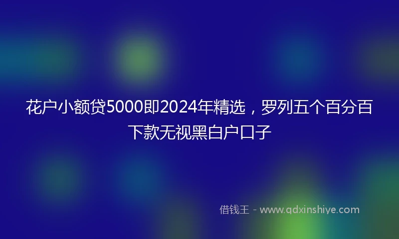 花户小额贷5000即2024年精选，罗列五个百分百下款无视黑白户口子