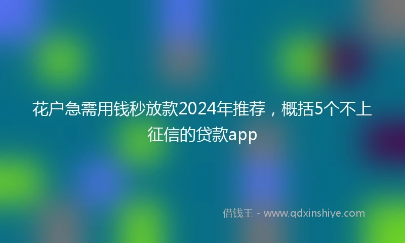 花户急需用钱秒放款2024年推荐，概括5个不上征信的贷款app