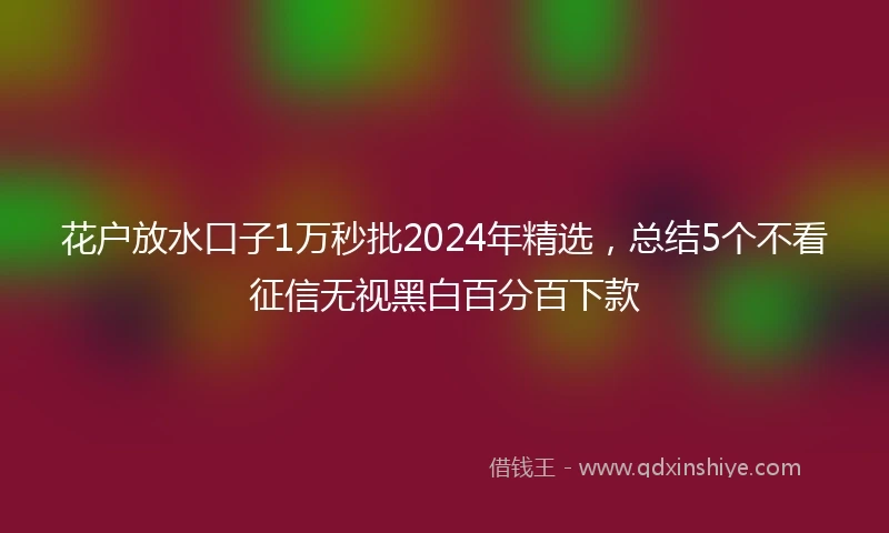 花户放水口子1万秒批2024年精选，总结5个不看征信无视黑白百分百下款