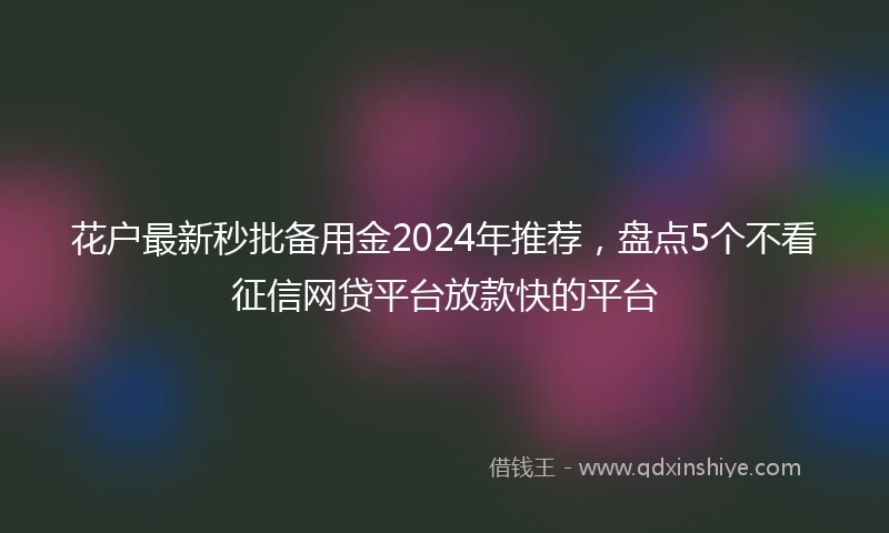 花户最新秒批备用金2024年推荐，盘点5个不看征信网贷平台放款快的平台