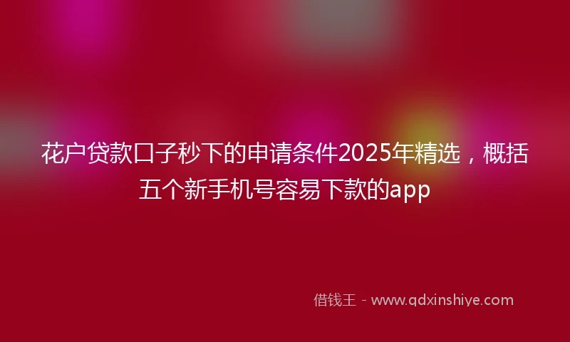 花户贷款口子秒下的申请条件2025年精选，概括五个新手机号容易下款的app