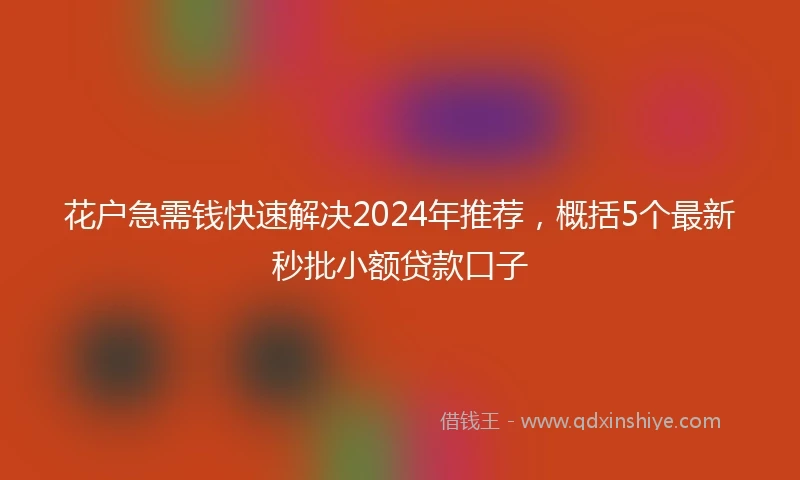 花户急需钱快速解决2024年推荐，概括5个最新秒批小额贷款口子