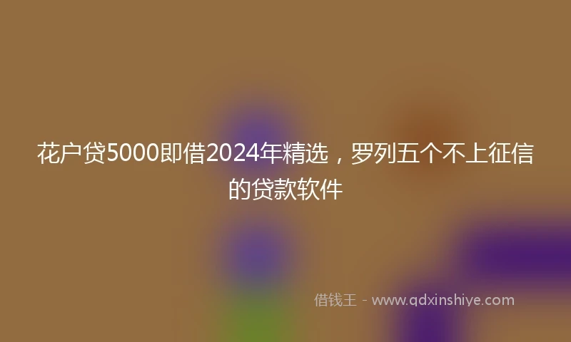 花户贷5000即借2024年精选，罗列五个不上征信的贷款软件