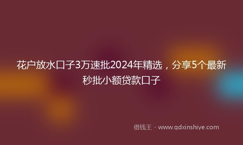 花户放水口子3万速批2024年精选，分享5个最新秒批小额贷款口子