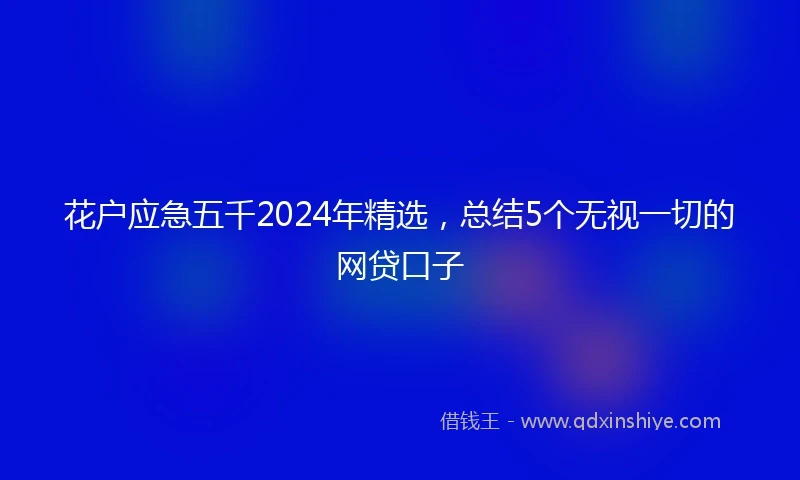 花户应急五千2024年精选，总结5个无视一切的网贷口子