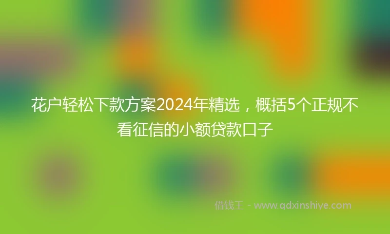 花户轻松下款方案2024年精选，概括5个正规不看征信的小额贷款口子