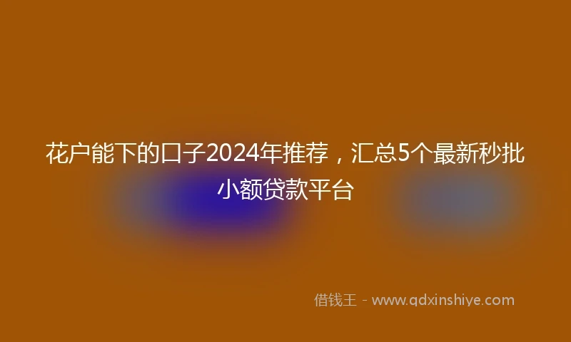 花户能下的口子2024年推荐，汇总5个最新秒批小额贷款平台