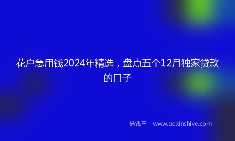 花户急用钱2024年精选,盘点五个12月独家贷款的口子