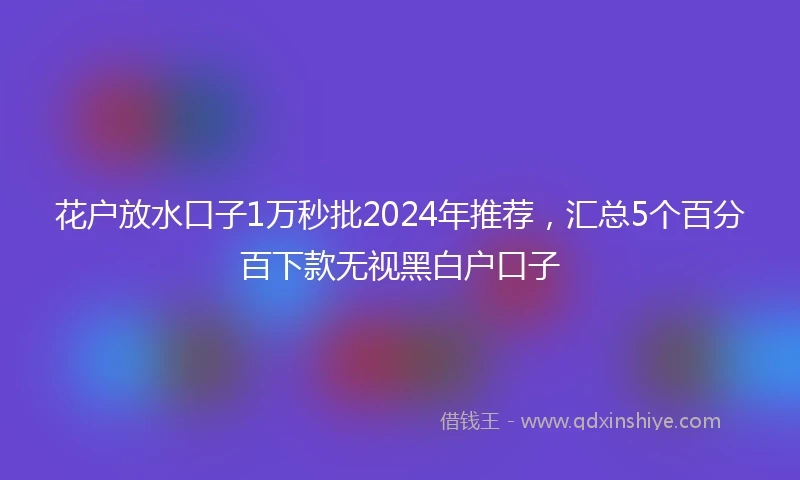 花户放水口子1万秒批2024年推荐，汇总5个百分百下款无视黑白户口子