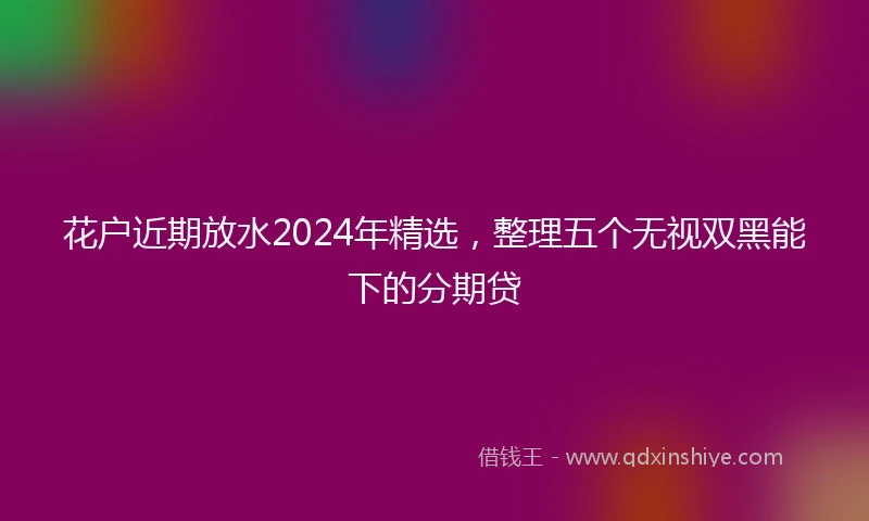花户近期放水2024年精选，整理五个无视双黑能下的分期贷