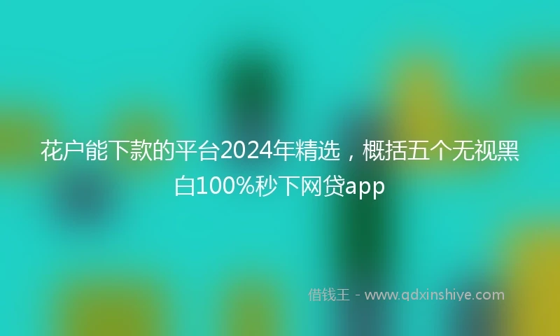 花户能下款的平台2024年精选，概括五个无视黑白100%秒下网贷app