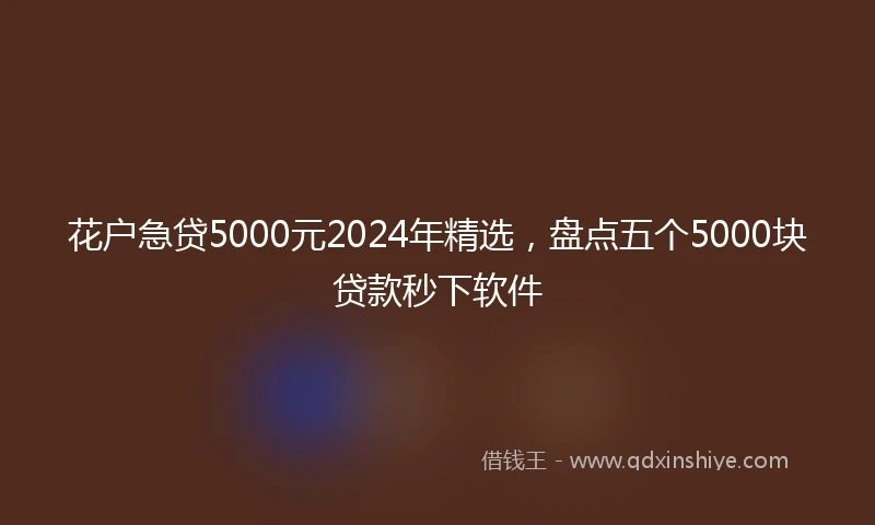 花户急贷5000元2024年精选，盘点五个5000块贷款秒下软件