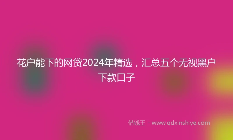 花户能下的网贷2024年精选，汇总五个无视黑户下款口子