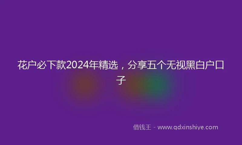 花户必下款2024年精选，分享五个无视黑白户口子