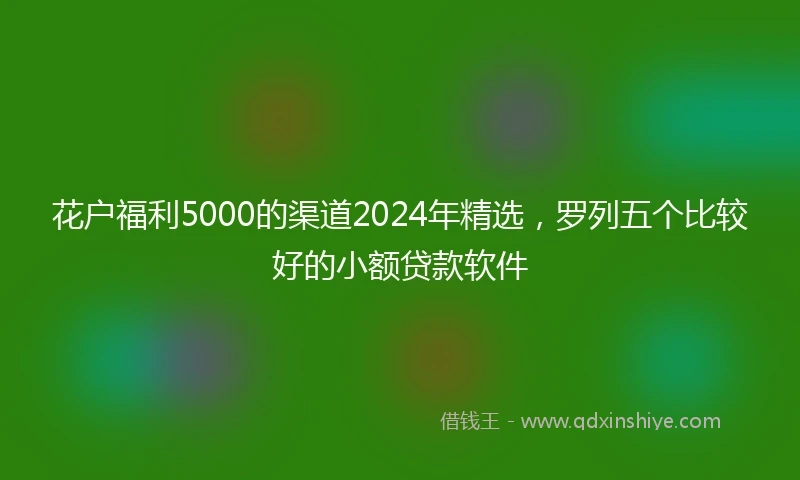 花户福利5000的渠道2024年精选，罗列五个比较好的小额贷款软件
