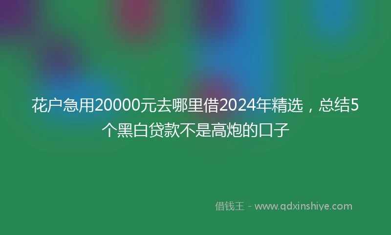 花户急用20000元去哪里借2024年精选，总结5个黑白贷款不是高炮的口子