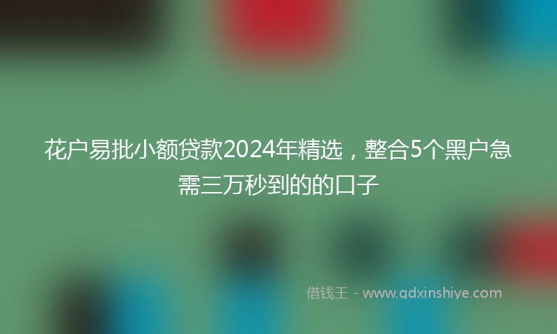 花户易批小额贷款2024年精选，整合5个黑户急需三万秒到的的口子