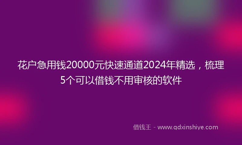 花户急用钱20000元快速通道2024年精选,梳理5个可以借钱不用审核的软件