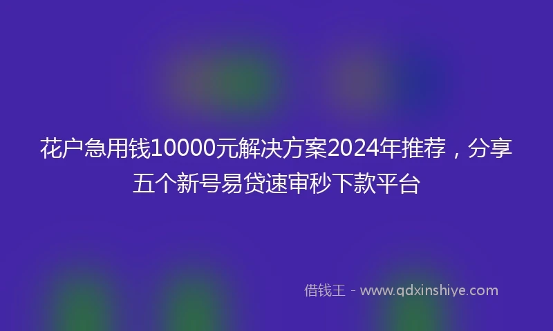 花户急用钱10000元解决方案2024年推荐，分享五个新号易贷速审秒下款平台
