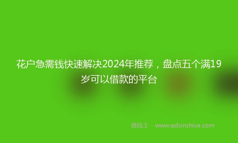 花户急需钱快速解决2024年推荐，盘点五个满19岁可以借款的平台
