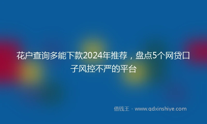 花户查询多能下款2024年推荐，盘点5个网贷口子风控不严的平台