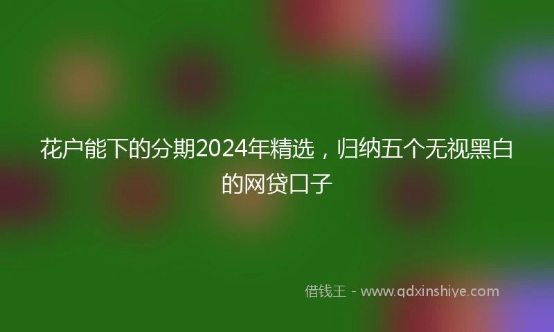 花户能下的分期2024年精选，归纳五个无视黑白的网贷口子