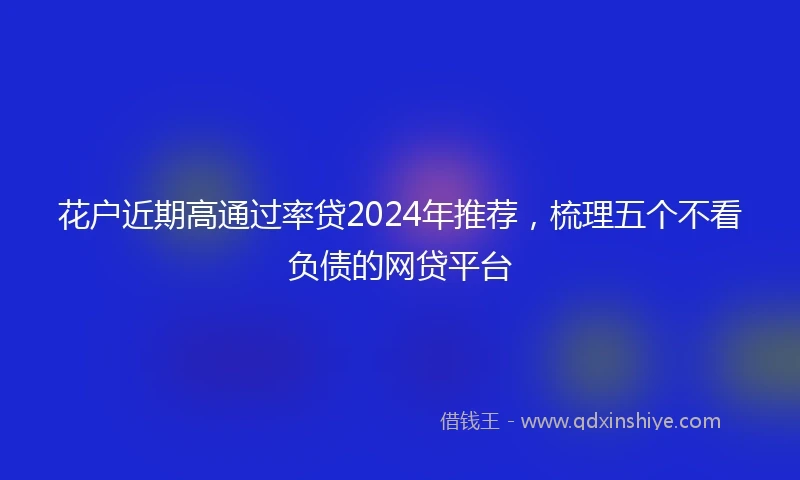 花户近期高通过率贷2024年推荐，梳理五个不看负债的网贷平台