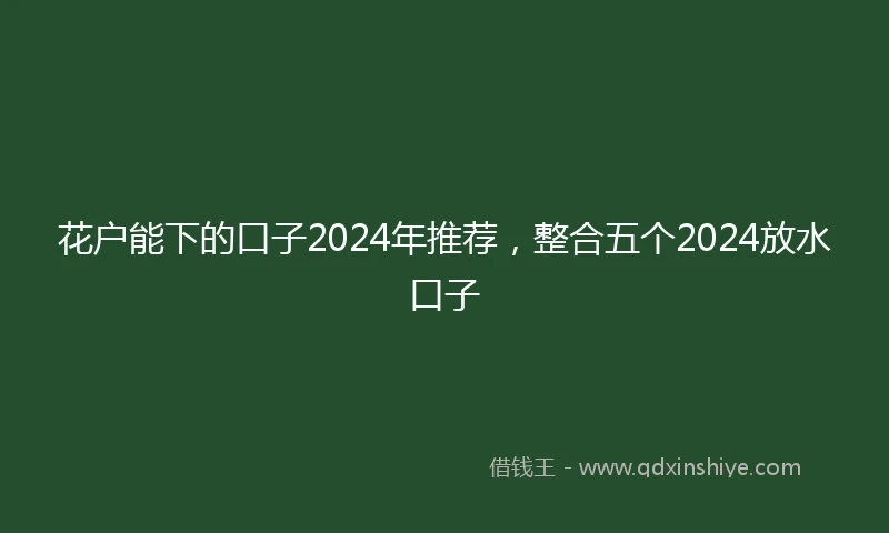 花户能下的口子2024年推荐，整合五个2024放水口子