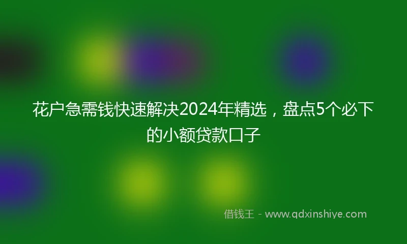 花户急需钱快速解决2024年精选，盘点5个必下的小额贷款口子