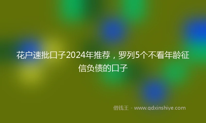 花户速批口子2024年推荐，罗列5个不看年龄征信负债的口子