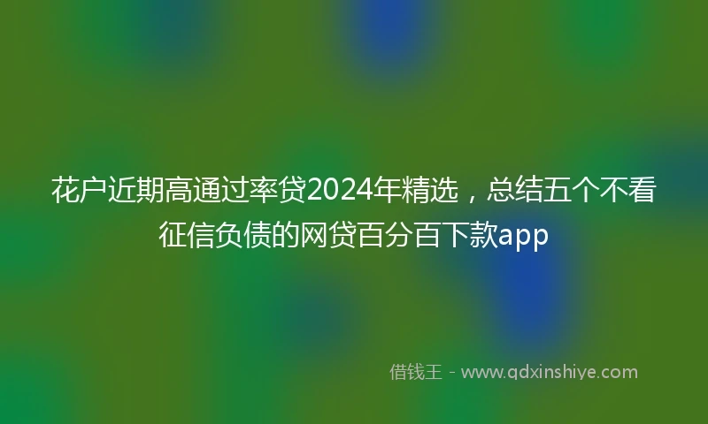 花户近期高通过率贷2024年精选，总结五个不看征信负债的网贷百分百下款app