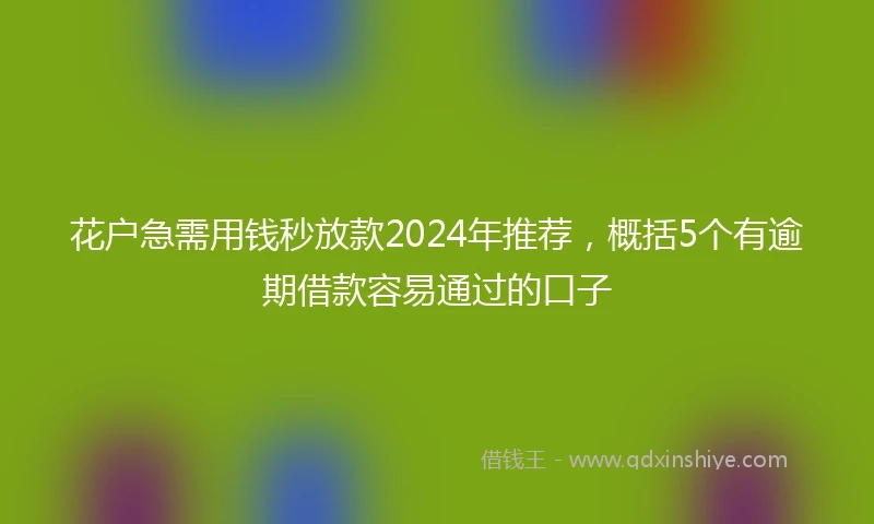 花户急需用钱秒放款2024年推荐，概括5个有逾期借款容易通过的口子