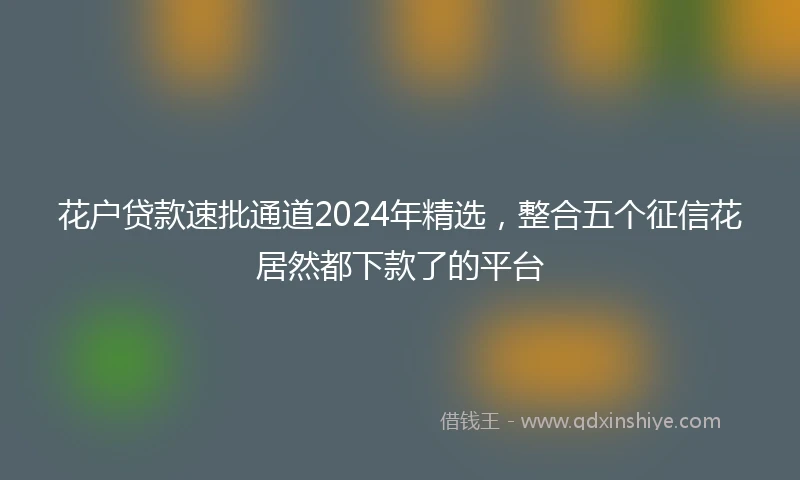 花户贷款速批通道2024年精选，整合五个征信花居然都下款了的平台