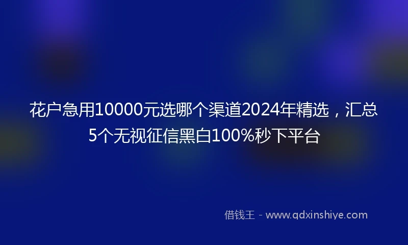 花户急用10000元选哪个渠道2024年精选，汇总5个无视征信黑白100%秒下平台