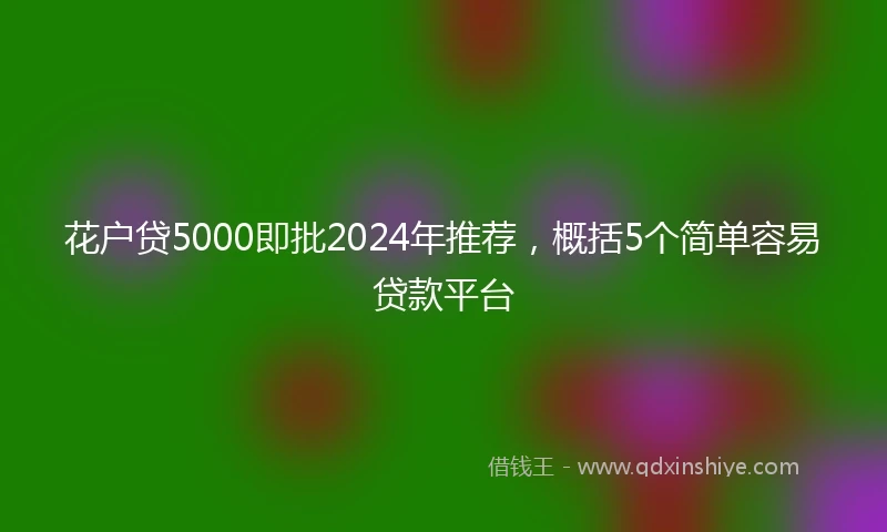 花户贷5000即批2024年推荐，概括5个简单容易贷款平台