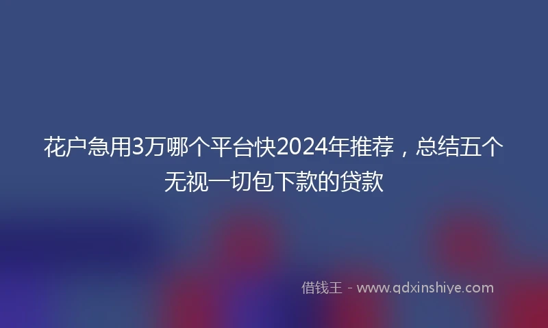 花户急用3万哪个平台快2024年推荐，总结五个无视一切包下款的贷款