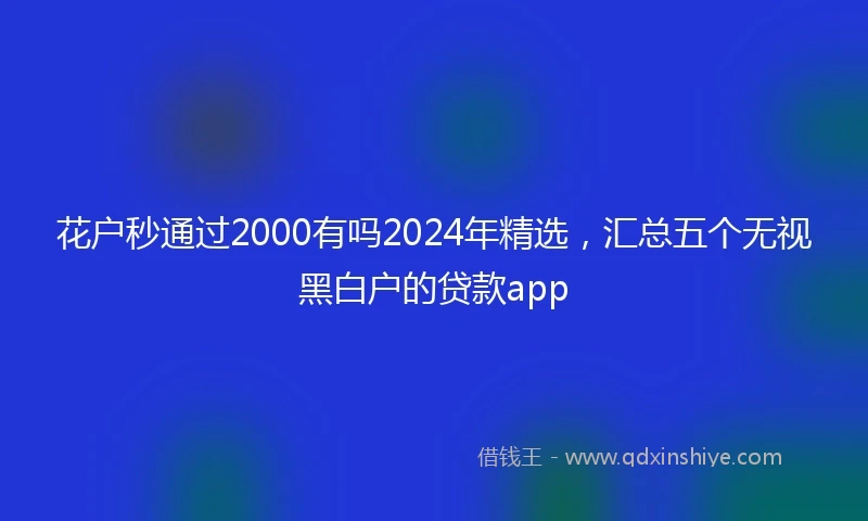 花户秒通过2000有吗2024年精选，汇总五个无视黑白户的贷款app