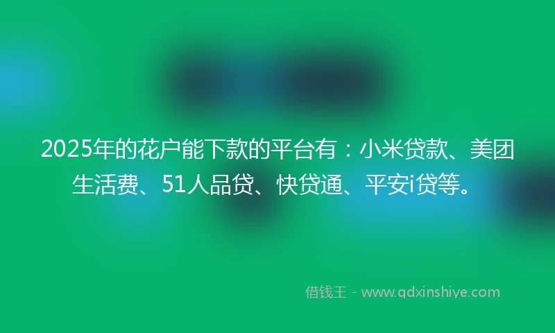 2025年的花户能下款的平台有：小米贷款、美团生活费、51人品贷、快贷通、平安i贷等。