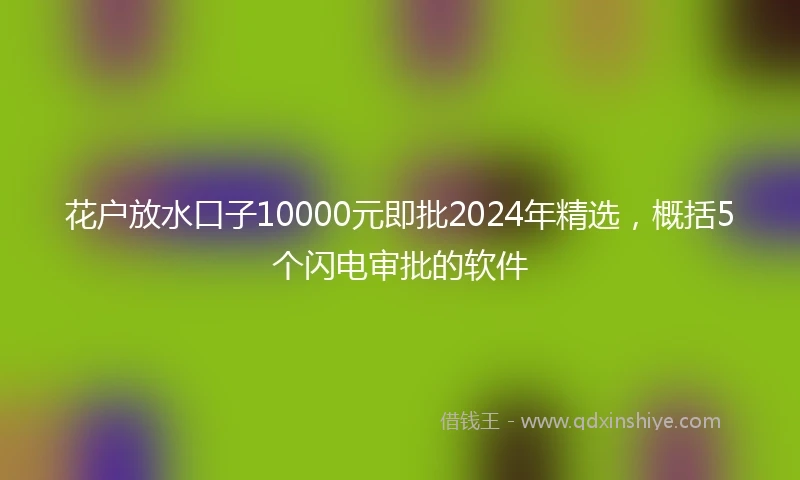 花户放水口子10000元即批2024年精选，概括5个闪电审批的软件