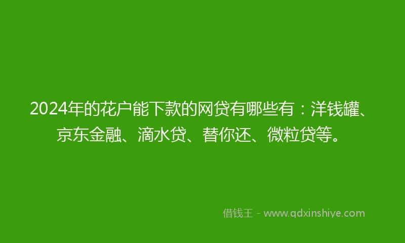2024年的花户能下款的网贷有哪些有：洋钱罐、京东金融、滴水贷、替你还、微粒贷等。