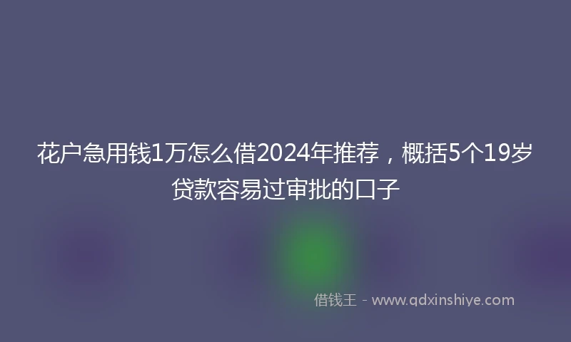 花户急用钱1万怎么借2024年推荐，概括5个19岁贷款容易过审批的口子