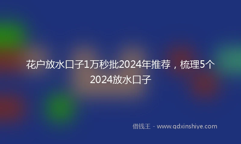 花户放水口子1万秒批2024年推荐，梳理5个2024放水口子