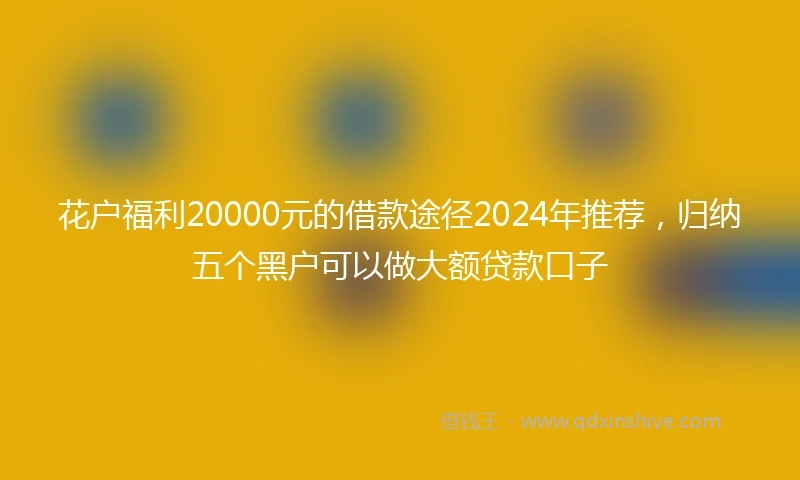花户福利20000元的借款途径2024年推荐，归纳五个黑户可以做大额贷款口子