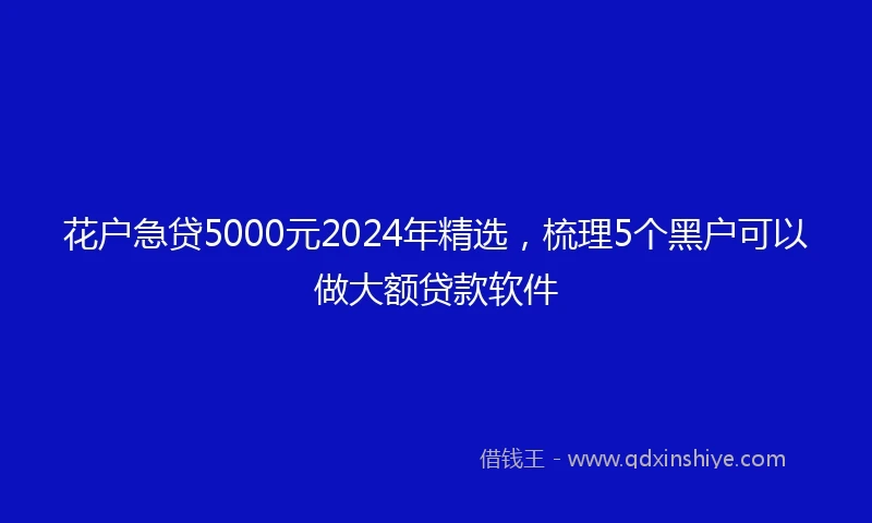 花户急贷5000元2024年精选，梳理5个黑户可以做大额贷款软件