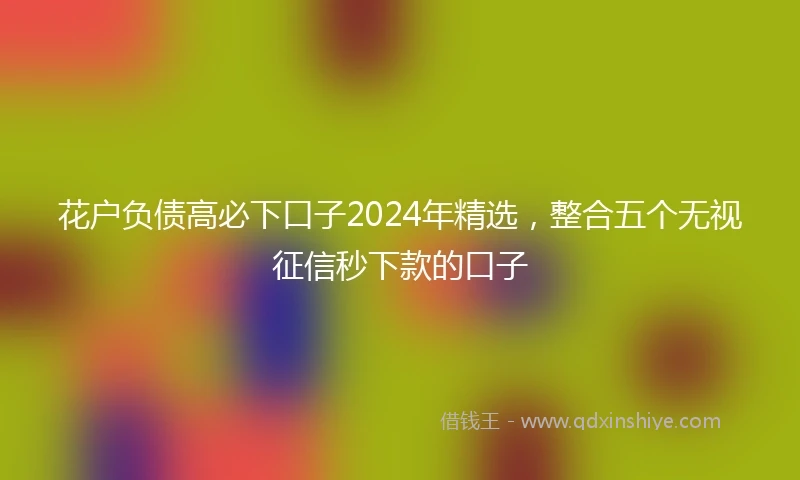 花户负债高必下口子2024年精选，整合五个无视征信秒下款的口子